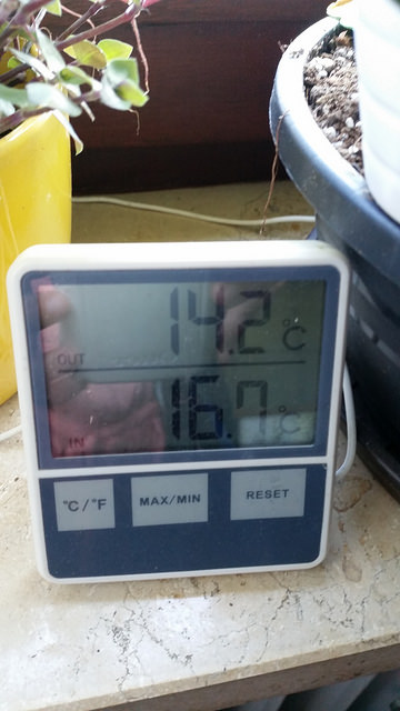 Apparently this counts for balmy temperatures.