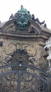 pigeons in Nuremberg