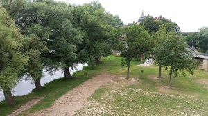 islet in the middle of the Danube River Regensburg