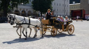 carriage ride