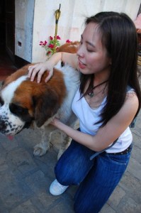 Vigan: Bernie the town dog